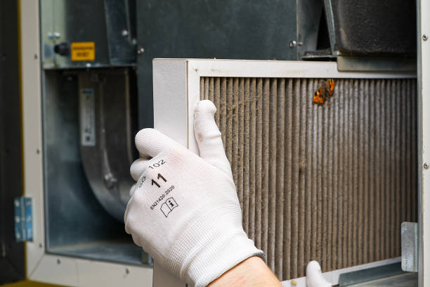 Best Home Air Vent Cleaning  in Claypool, AZ